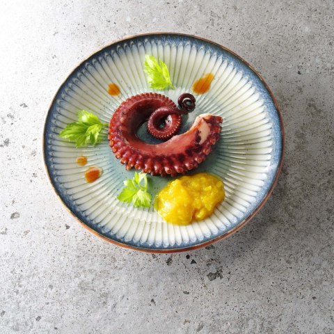 Talerz owalny Ammonite Galaxy, 290x160 mm - EARTH COLOURS