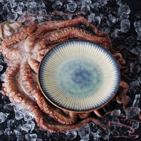Talerz owalny Ammonite Galaxy, 290x160 mm - EARTH COLOURS