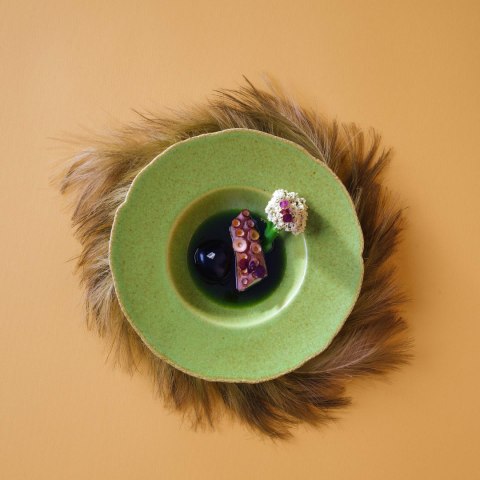 Miska Edenic, 180mm Fine Dine