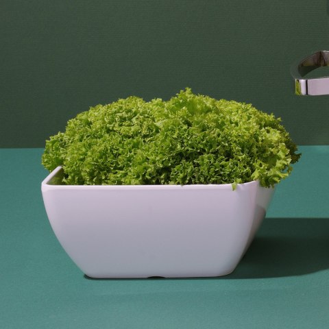 Miska kwadratowa z melaminy, biała, 250x250x(h)120mm Fine Dine